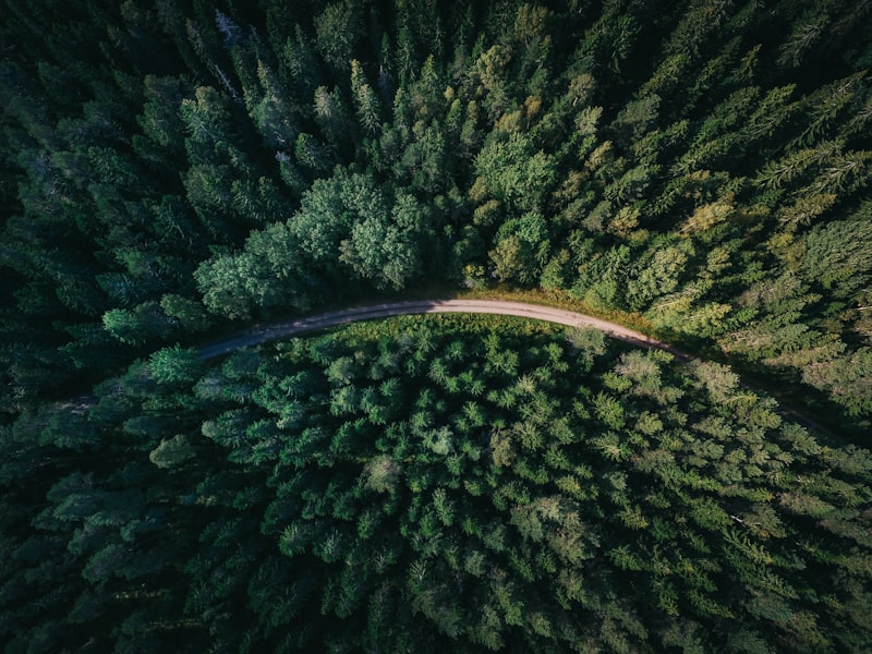 Blue Ridge Parkway
